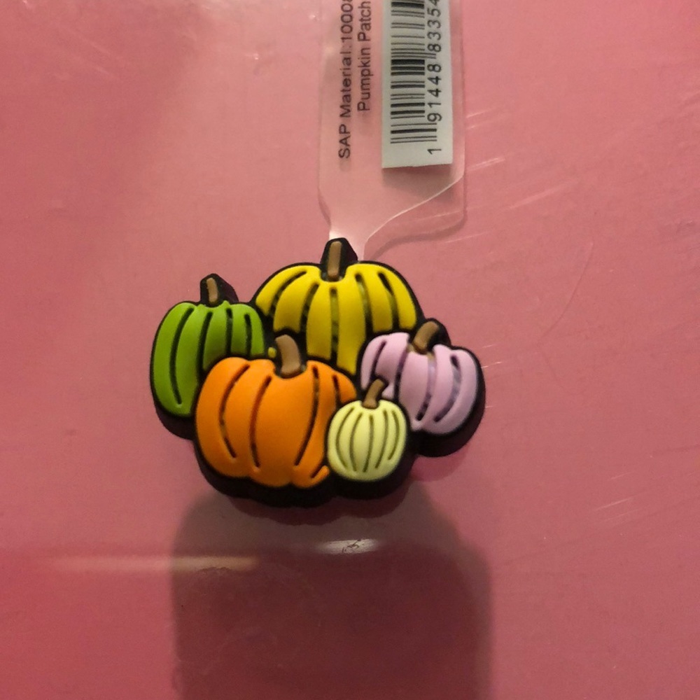 🌈 5 for $10 NWT Pumpkin Patch Jibbitz Charm